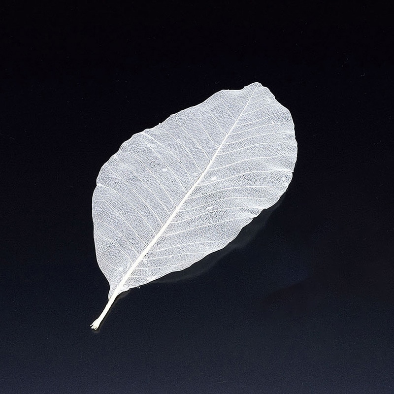 ヤマコー 網朴葉　S　50枚入  24320 1個（ご注文単位1個）【直送品】