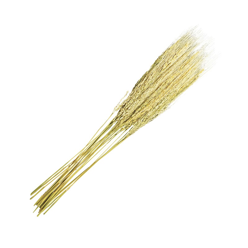 ヤマコー 古代米・稲穂飾り 銀　20本入 25302 1袋（ご注文単位1袋）【直送品】