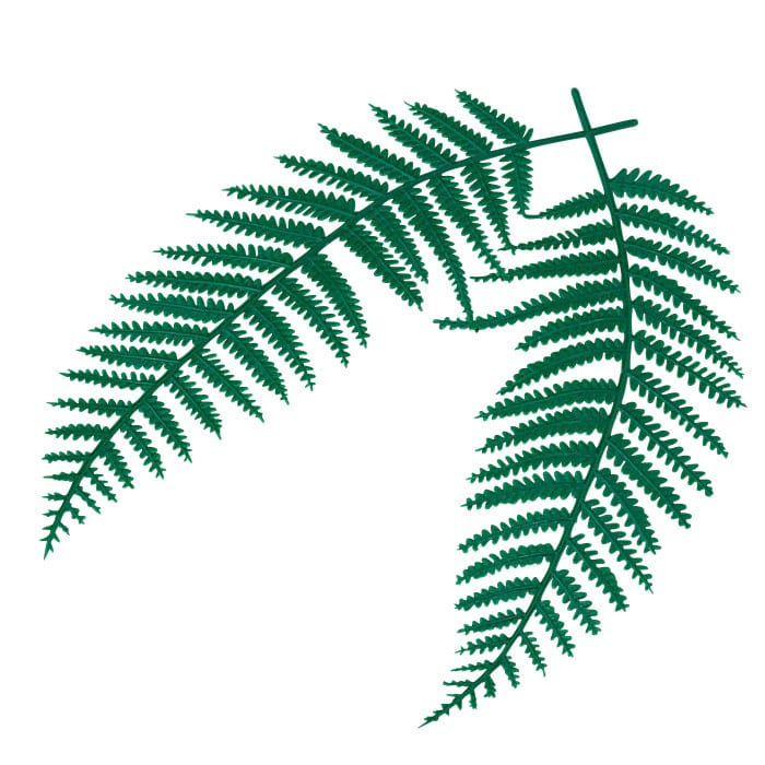 >ヤマコー ウラジロ飾り 大 100個入 26055 1パック(ご注文単位1パック)【直送品】