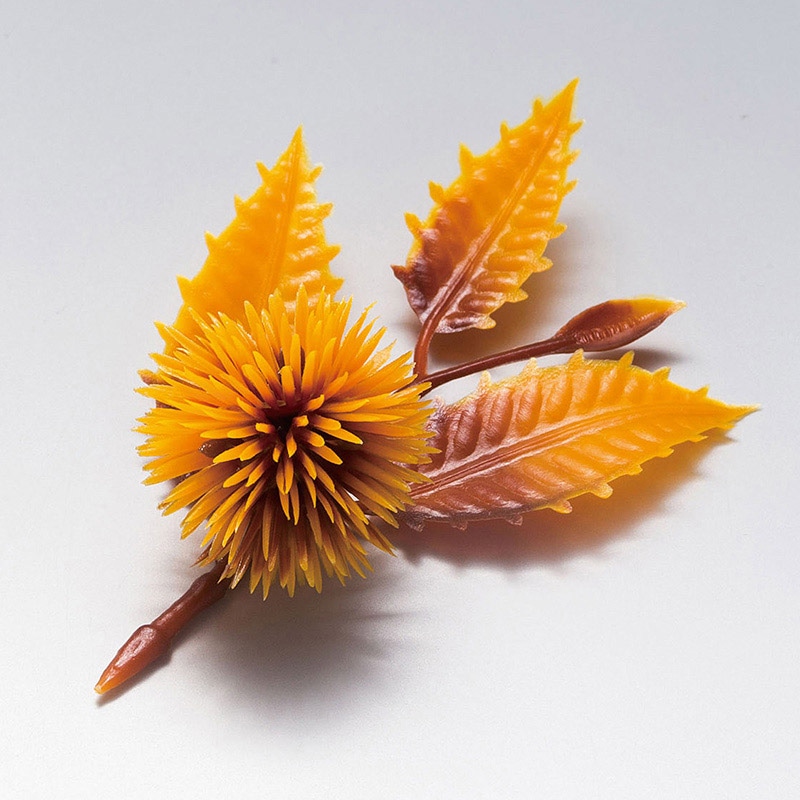 ヤマコー 四季の花ごよみ 栗 茶 200個入 64332 1パック(ご注文単位1パック)【直送品】