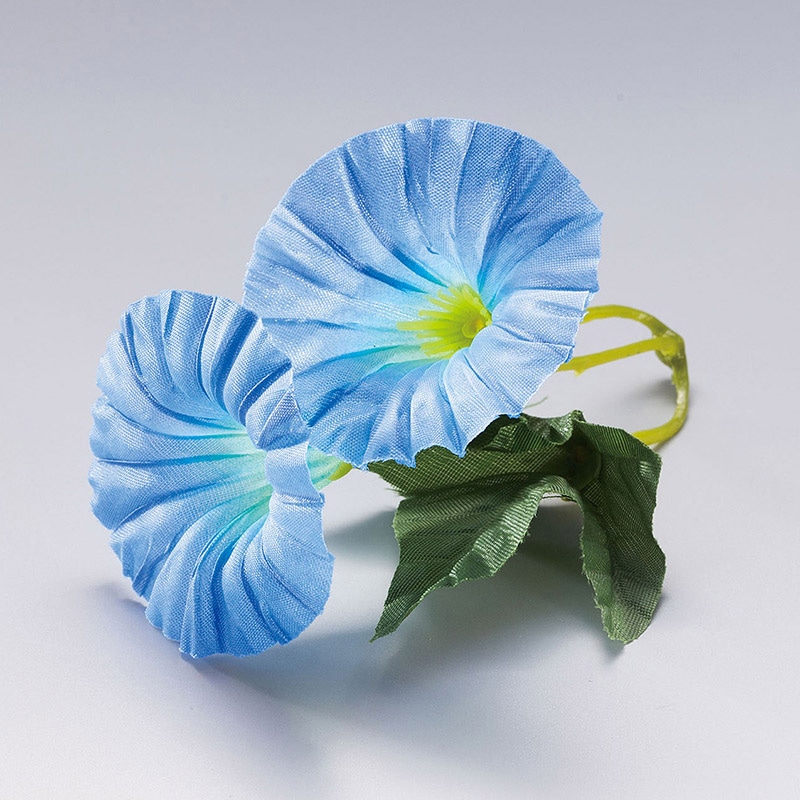 ヤマコー 四季の花ごよみ 朝顔 ブルー 100個入 64336 1パック(ご注文単位1パック)【直送品】