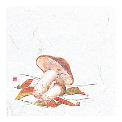 ヤマコー 4寸OP懐石敷紙　松茸　100枚入  65118 1袋（ご注文単位1袋）【直送品】