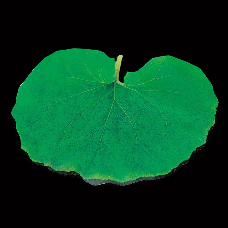 ヤマコー PP貼合せ　型抜きクリアシート　ふき 200枚入 65365 1パック（ご注文単位1パック）【直送品】