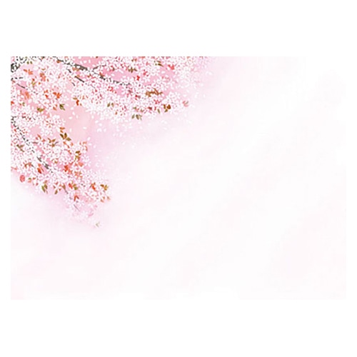 ヤマコー 尺3　無蛍光紙　四季彩まっと　花雅　桜 100枚入　66451 1パック（ご注文単位1パック）【直送品】