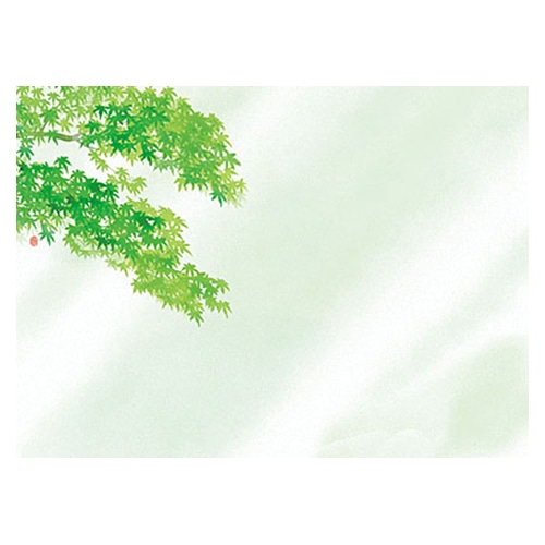 ヤマコー 尺3　無蛍光紙　四季彩まっと　花雅　青もみじ 100枚入　66452 1パック（ご注文単位1パック）【直送品】