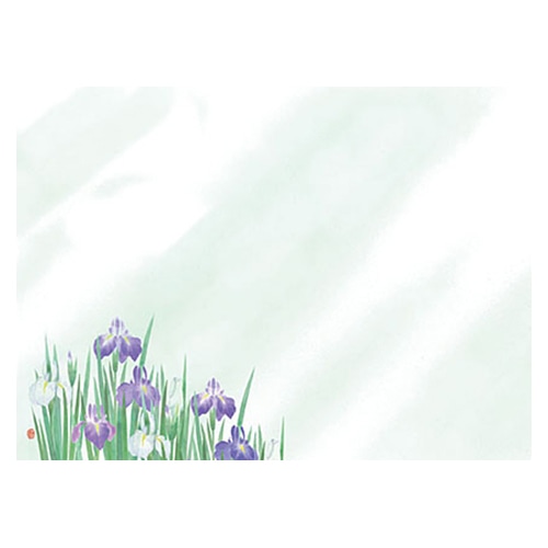 ヤマコー 尺3　無蛍光紙　四季彩まっと　花雅　菖蒲 100枚入　66453 1パック（ご注文単位1パック）【直送品】