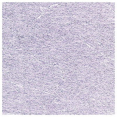 ヤマコー 抗菌OP雲竜懐敷　藤色　15cm角 100枚入 66541 1パック（ご注文単位1パック）【直送品】