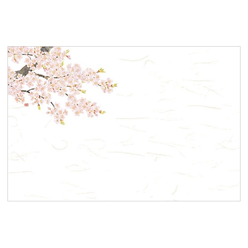 ヤマコー 尺3　無蛍光紙　四季彩まっと　花便り　桜 100枚入 66625 1パック（ご注文単位1パック）【直送品】