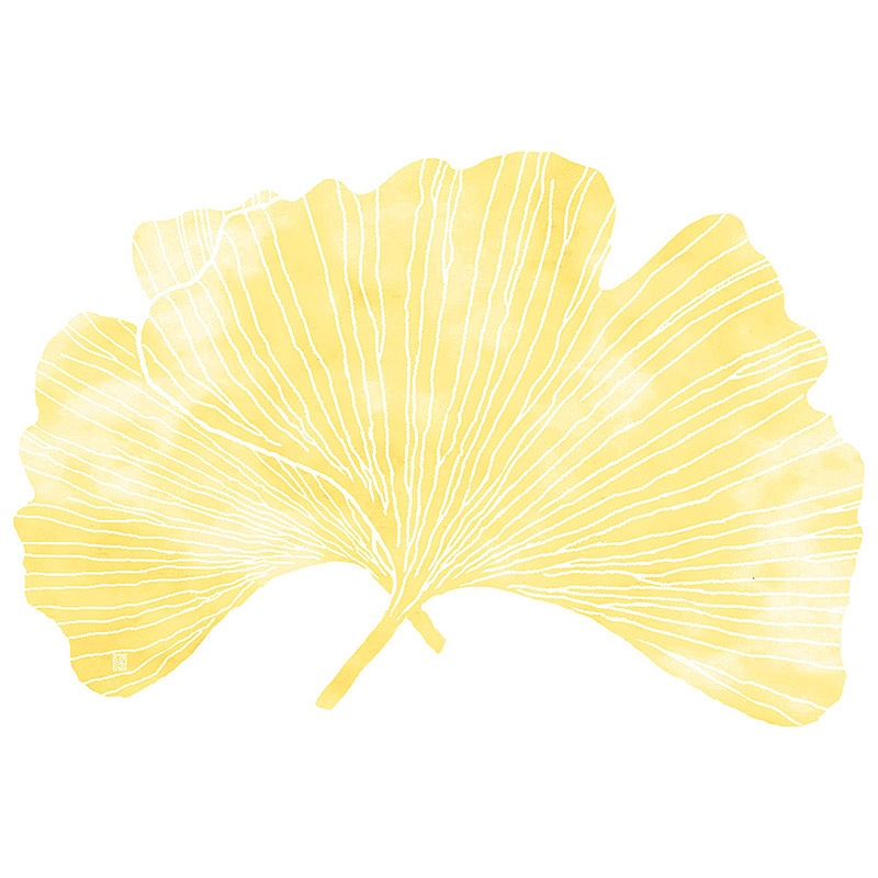 ヤマコー 尺3　四季彩まっと　この葉型抜き　いちょう 50枚入 66780 1パック（ご注文単位1パック）【直送品】