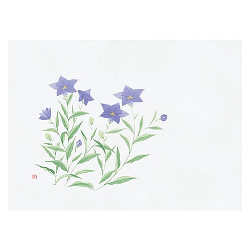 ヤマコー 四季彩鮮度保持紙　桔梗　100枚入  69011 1パック（ご注文単位1パック）【直送品】