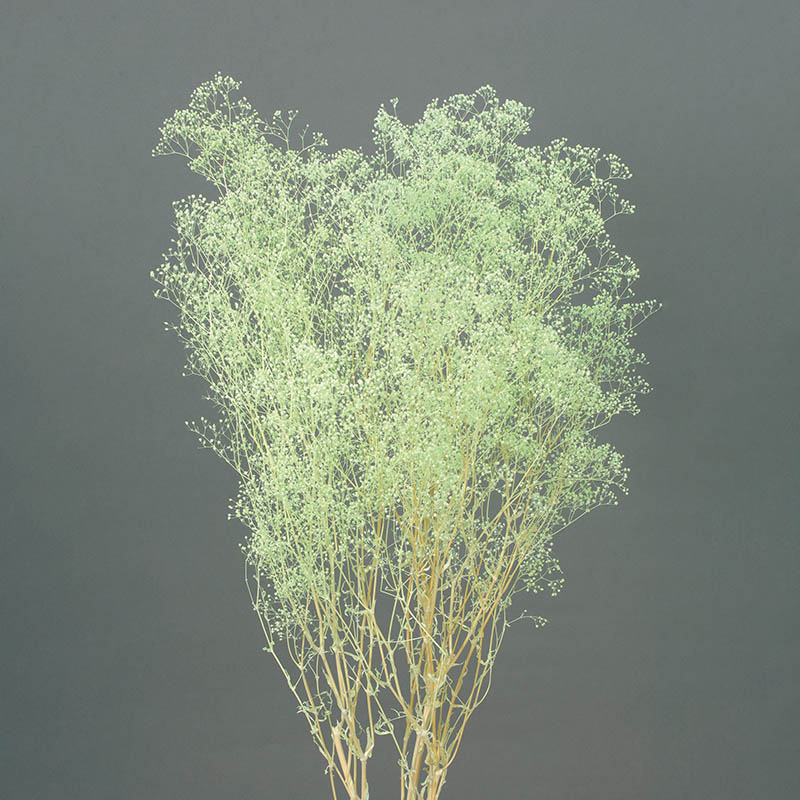 ミントグリーン