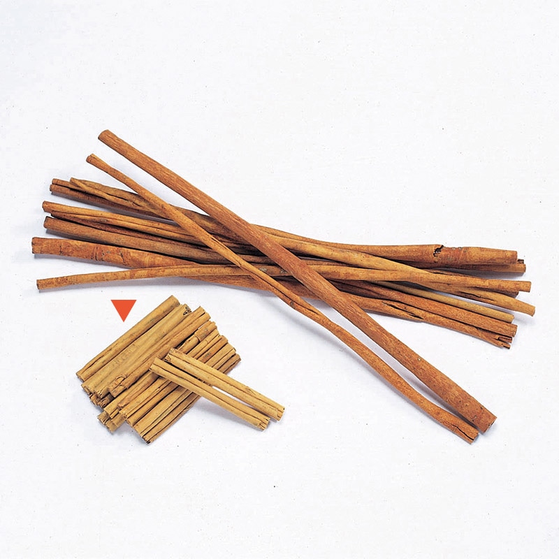 大地農園 アレンジ用フルーツ シナモンスティック 40cm 21100-000 1袋(ご注文単位1袋)【直送品】