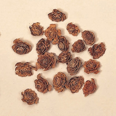 大地農園 木の実ミックス シダローズヘッド 24100-000 1袋(ご注文単位1袋)【直送品】