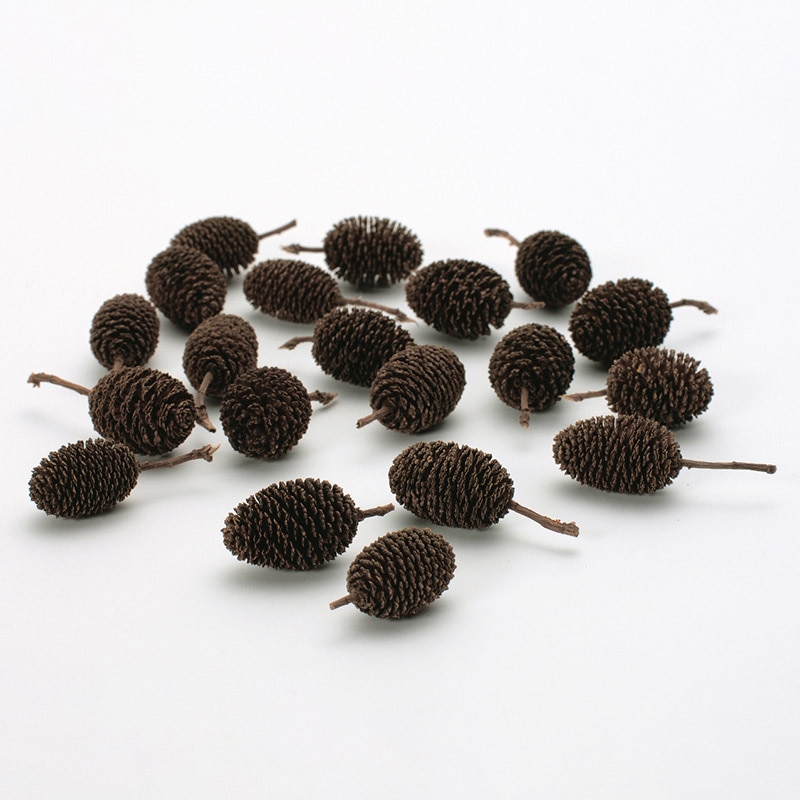 大地農園 木の実ミックス ヤシャブシ 24150-000 1袋(ご注文単位1袋)【直送品】