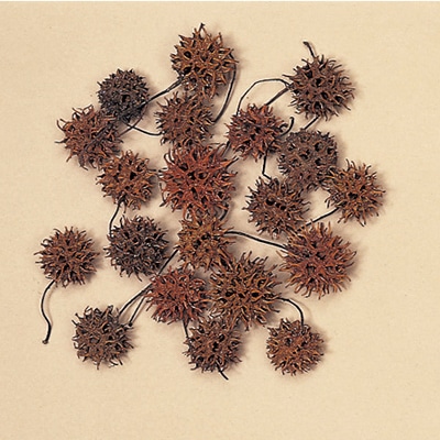 >大地農園 木の実ミックス アンバーバーム 24320-000 1袋(ご注文単位1袋)【直送品】