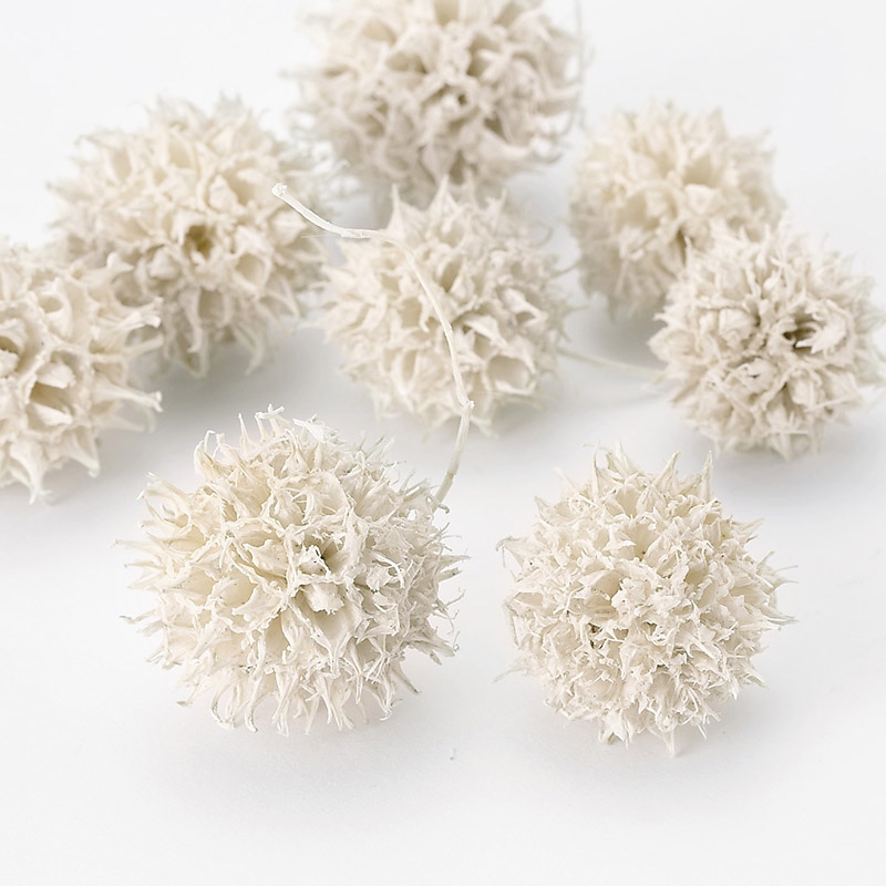 大地農園 木の実ミックス アンバーバーム 24320-011 白 1袋(ご注文単位1袋)【直送品】