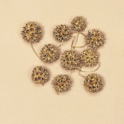 大地農園 木の実ミックス アンバーバーム 24320-902 ゴールド 1袋(ご注文単位1袋)【直送品】