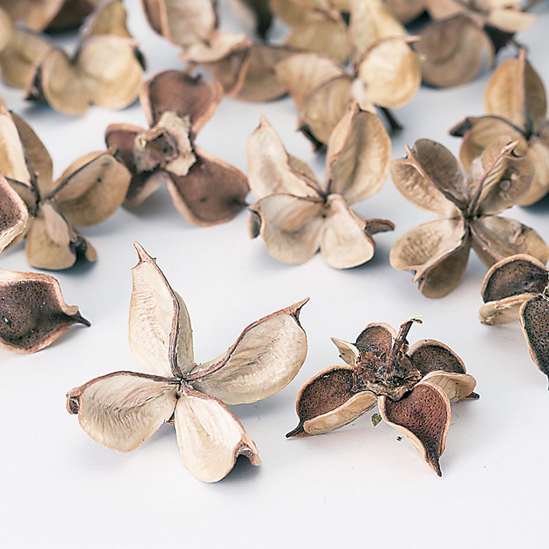 >大地農園 木の実ミックス ワタカラ 24400-000 1袋(ご注文単位1袋)【直送品】