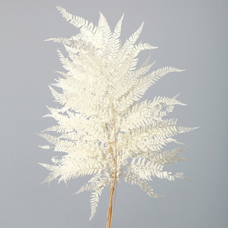 大地農園 ポプリ ヒメワラビ 50330-011　白 1束（ご注文単位1束）【直送品】