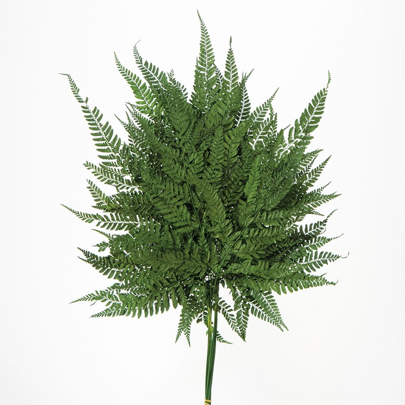 大地農園 ナチュラルドライフラワー ヒメワラビ 50330-700　グリーン 1束（ご注文単位1束）【直送品】