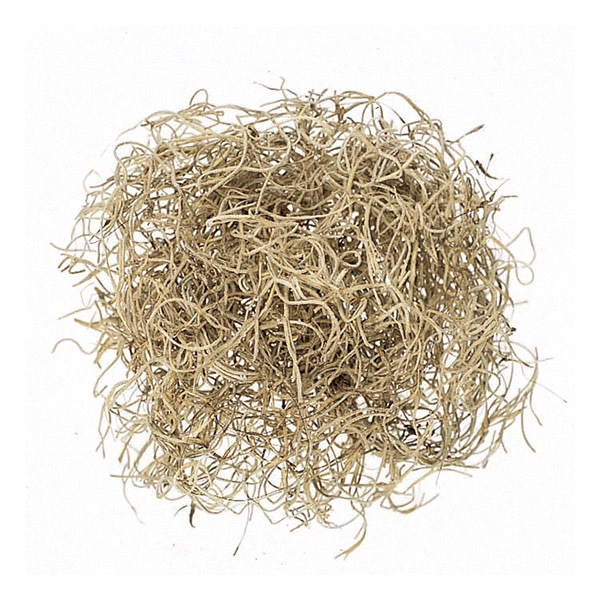 大地農園 モス スパニッシュモス　プロ仕様　1kg 61067-000 1個（ご注文単位1個）【直送品】