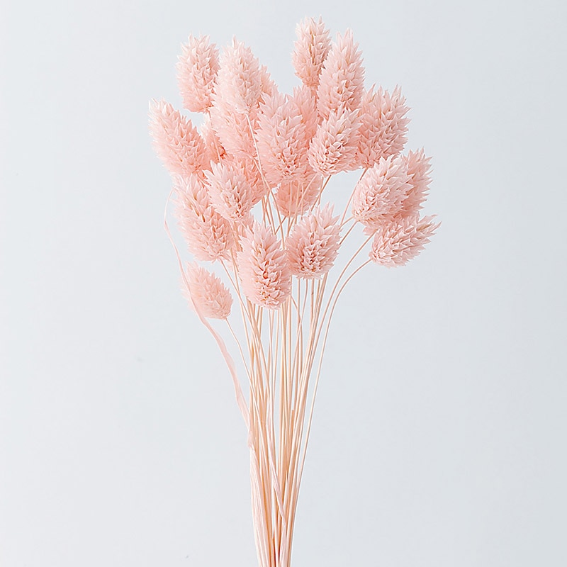 大地農園 カラードライフラワー ポアプランツ 42020-101 ベビーピンク 1束(ご注文単位1束)【直送品】