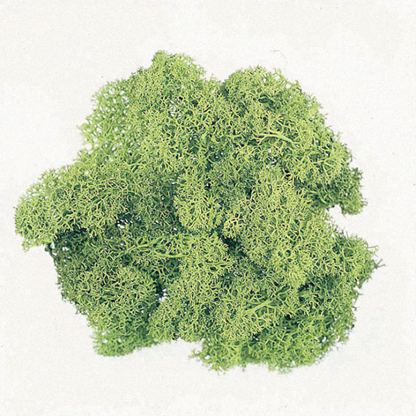 大地農園 モス アイスランドモス　大袋　500g 61073-780　スプリンググリーン 1箱（ご注文単位1箱）【直送品】