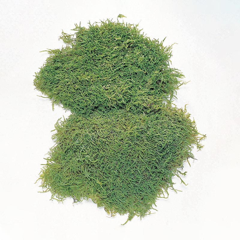 大地農園 モス ソフトシートモス　小 61091-707　グリーン 1袋（ご注文単位1袋）【直送品】