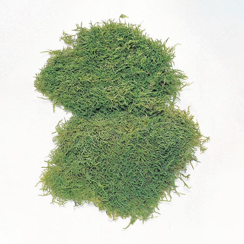 大地農園 モス ソフトシートモス　大 61097-707　グリーン 1袋（ご注文単位1袋）【直送品】