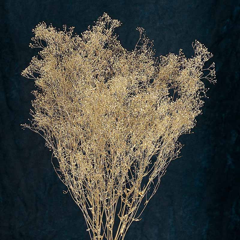 大地農園 プリザーブドフラワー スーパーソフトミニカスミ草 00020-902　ゴールド 1束（ご注文単位1束）【直送品】
