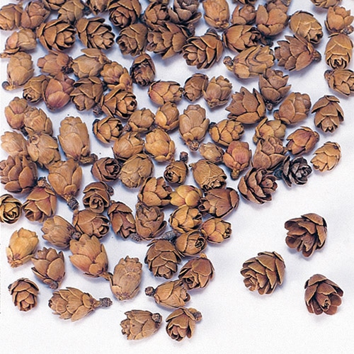 大地農園 木の実ミックス タマラックコーン 24720-000 1袋(ご注文単位1袋)【直送品】