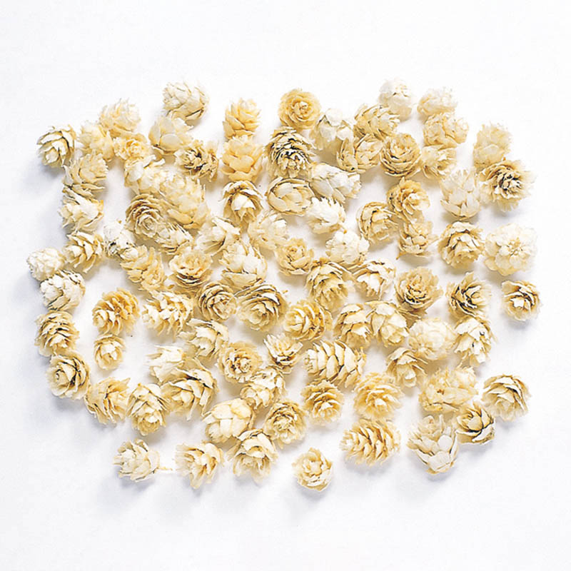 大地農園 木の実ミックス ミニツガ 22720－011　白 1袋（ご注文単位1袋）【直送品】