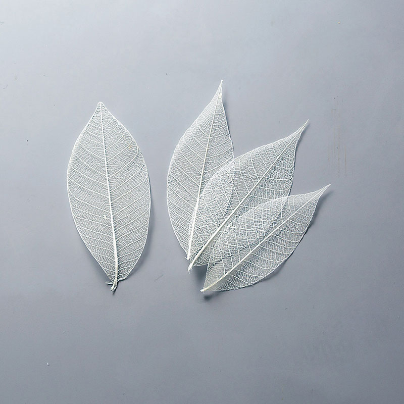 大地農園 デザインパーツ ミニスケルトンリーフ　大 51494-011　白 1袋（ご注文単位1袋）【直送品】