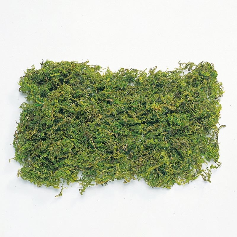 大地農園 モス 山ゴケ　大袋 61171-700　グリーン 1袋（ご注文単位1袋）【直送品】