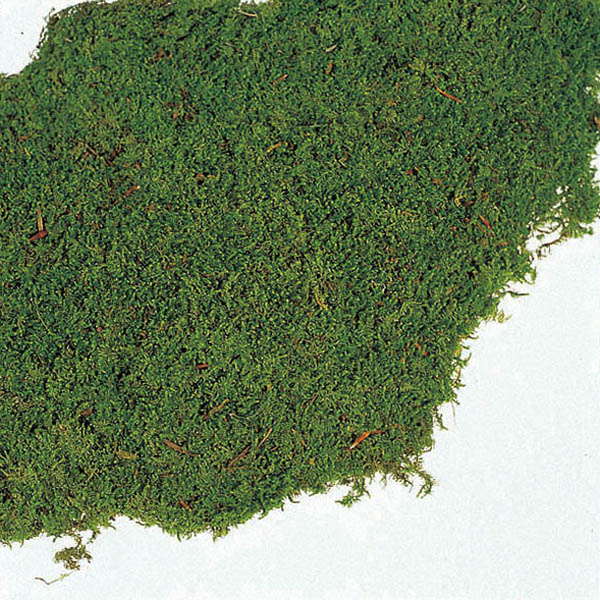 大地農園 モス シ-トモス　小 61091-700　グリーン 1個（ご注文単位1個）【直送品】