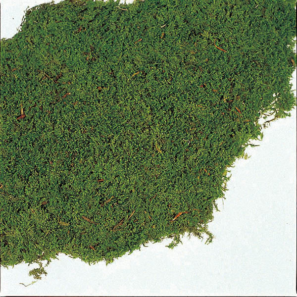 大地農園 モス シートモス　大 61092-700　グリーン 1袋（ご注文単位1袋）【直送品】