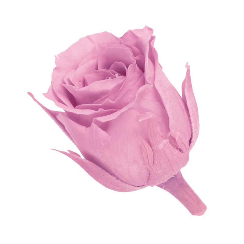 クリスタルピンク