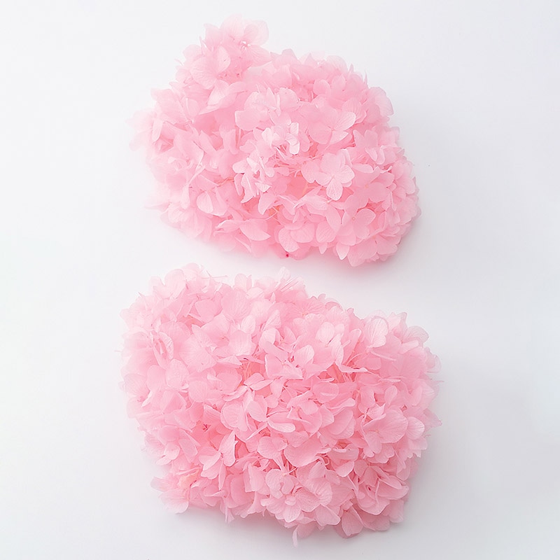 大地農園 アジサイ ソフトゆめ　ヘッド 01900-101　ピンク 1箱（ご注文単位1箱）【直送品】