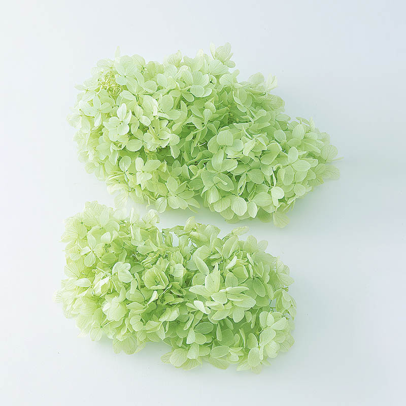 クリアグリーン