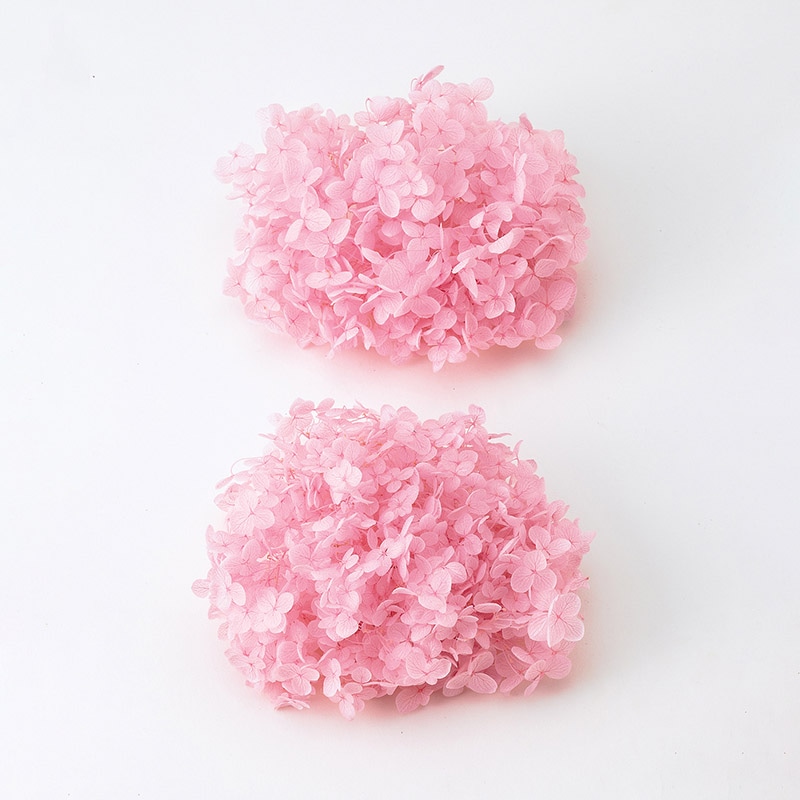 大地農園 アジサイ ソフトアナベル　ヘッド 02160-101　ピンク 1袋（ご注文単位1袋）【直送品】