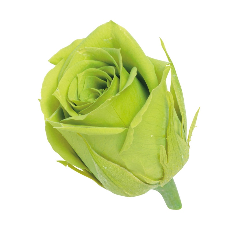 ライトグリーン