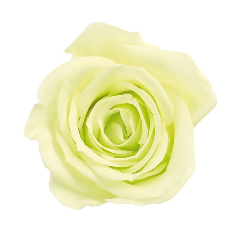 フレッシュグリーン