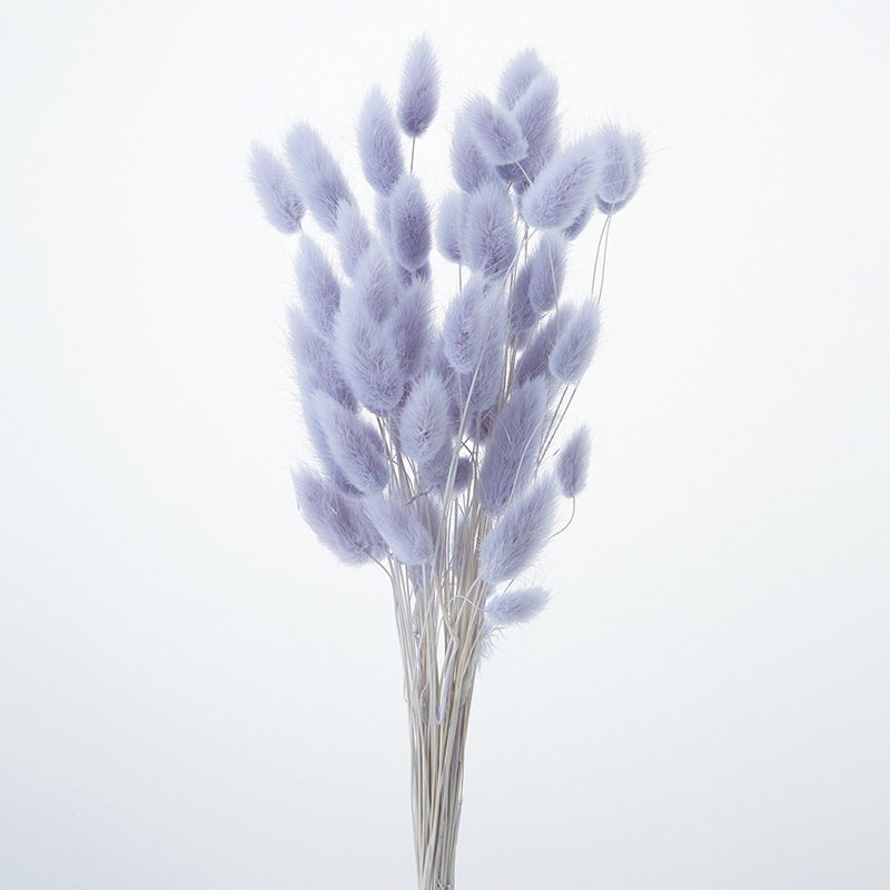 大地農園 カラードライフラワー ハニーテール 42060-441 エンジェルパープル 1個(ご注文単位1個)【直送品】
