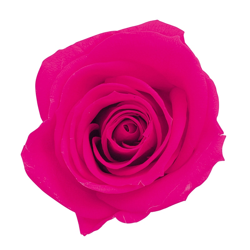 フランボワーズ