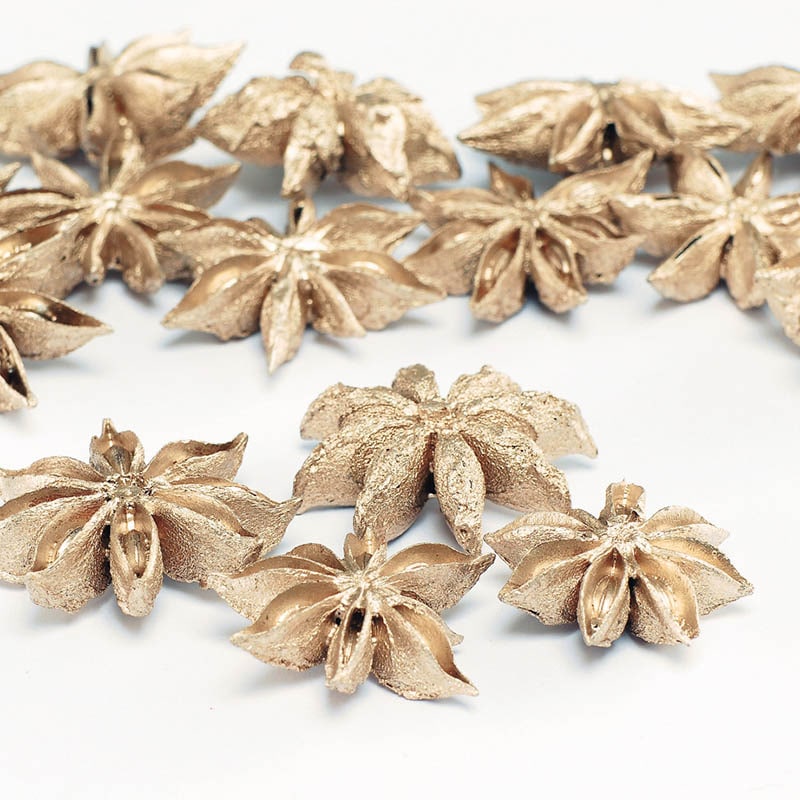 >大地農園 木の実 スターアニス 21020-932 プラチナ 1袋(ご注文単位1袋)【直送品】