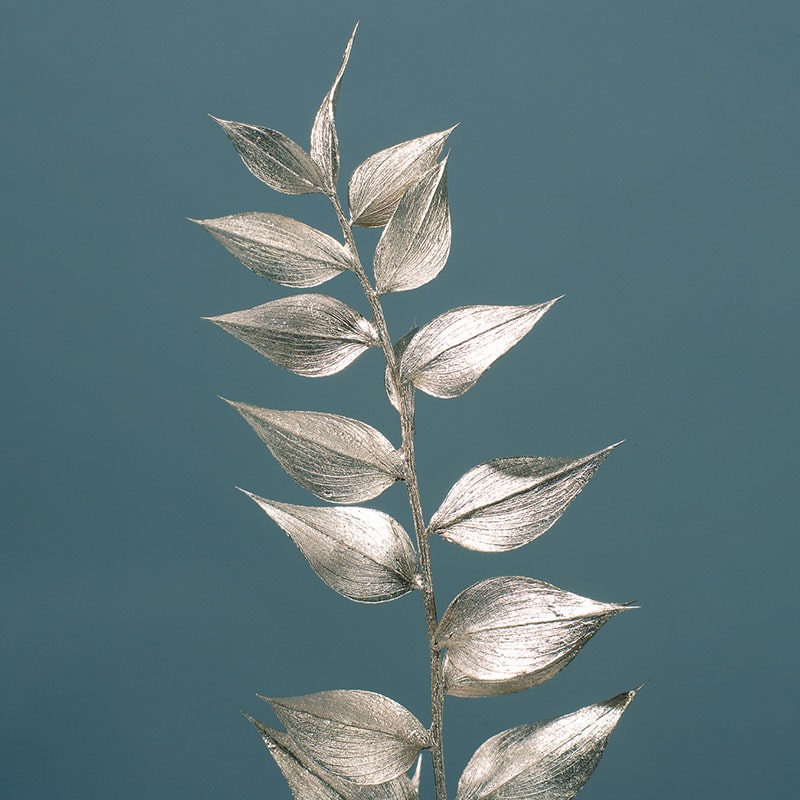 大地農園 デザインペイント ラスカス 10690-932　プラチナ 1束（ご注文単位1束）【直送品】