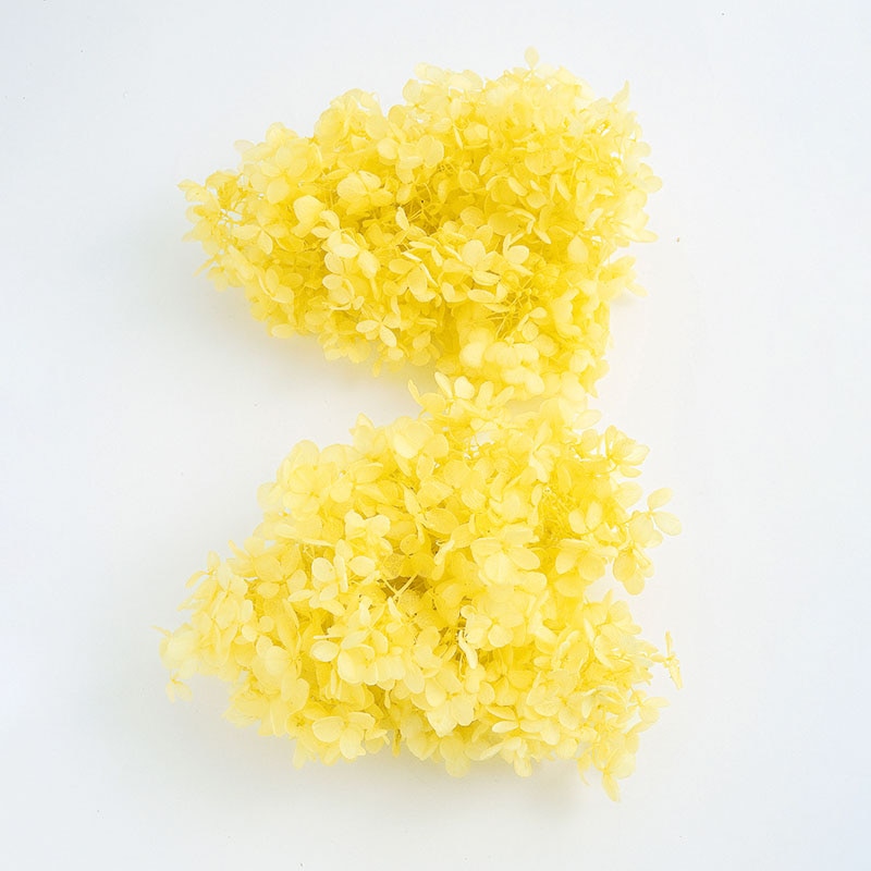 モーニングイエロー