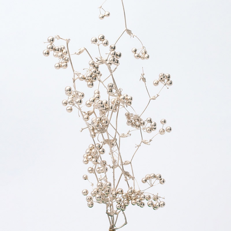 大地農園 デザインペイント サンキライのツル(実付き)約40cm 22214-932 プラチナ 1束(ご注文単位1束)【直送品】