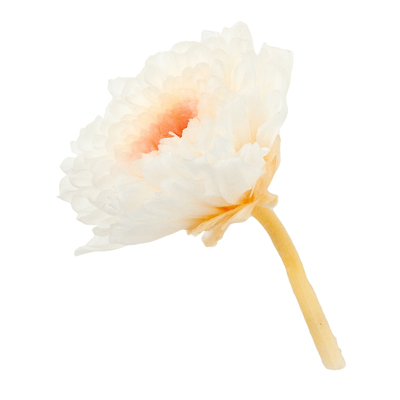 大地農園 プリザーブドフラワー 小菊 ミルフィーユ 04190-011 ホワイトピンク 1箱(ご注文単位1箱)【直送品】