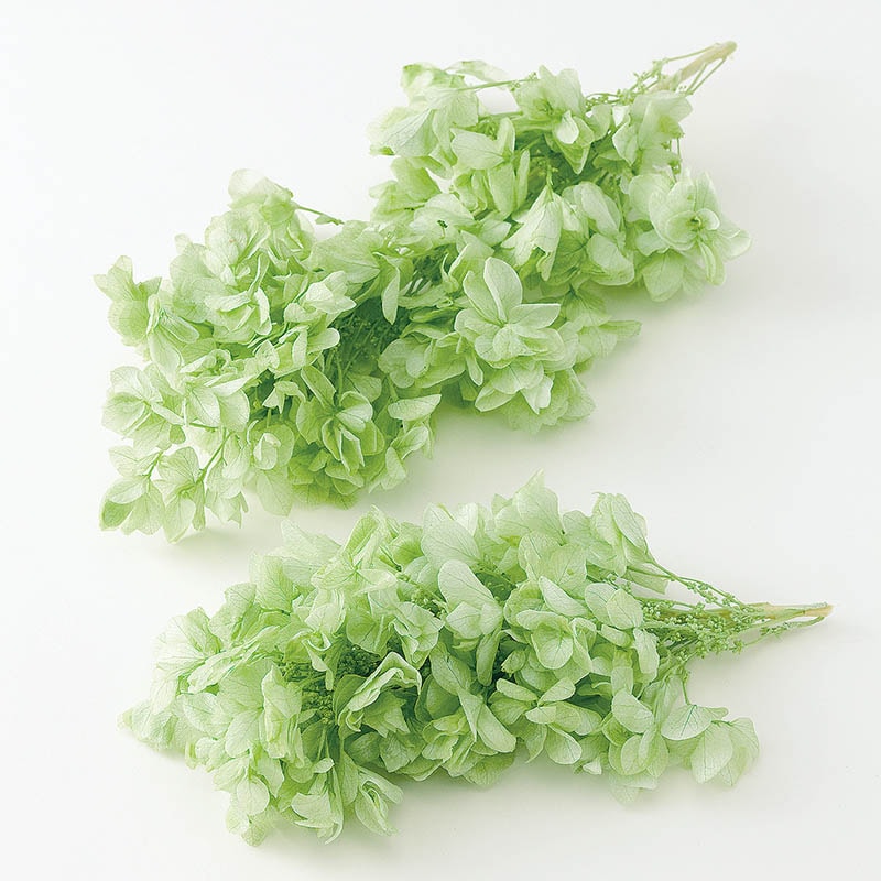 クリアグリーン